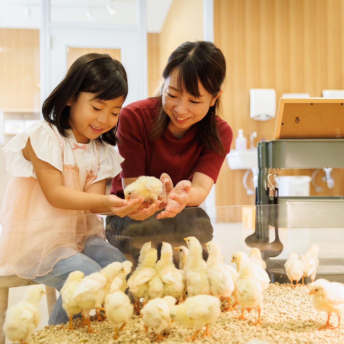 🐾 모프 애니멀 월드 빅 홉 가든 몰 인자이점